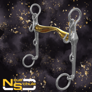 NEUE SCHULE 8027 AACHEN WEYMOUTH-neue-schule-Top Notch Wholesale