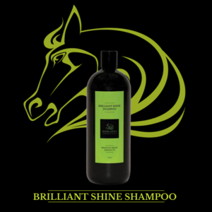 JUDGES CHOICE SHINE SHAMPOO-wholesale-brands-Top Notch Wholesale