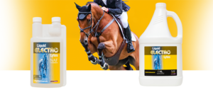NAF ELECTRO LYTES-wholesale-brands-Top Notch Wholesale