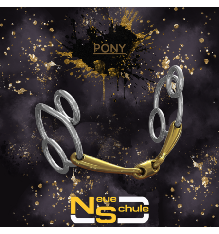 NEUE SCHULE PONY TRAN ANG LOZ UNIVERSAL