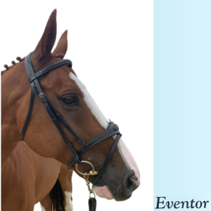 Eventor Crown Snaffle Bridle-wholesale-brands-Top Notch Wholesale