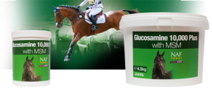 NAF GLUCOSAMINE WITH MSM-wholesale-brands-Top Notch Wholesale
